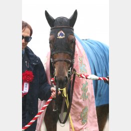 桜花賞馬が世代最強を証明する