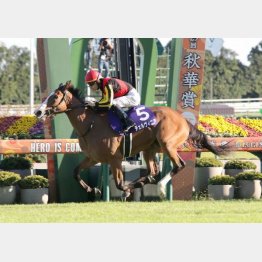 昨年はオークス馬チェルヴィニアが2冠達成