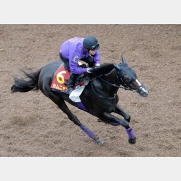 今週は坂路で1F12秒3