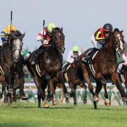 【新潟本紙・市川の日曜新潟11Ｒ】