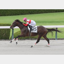 前走は強い競馬だった