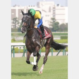 数字以上に大きく見せたローズS