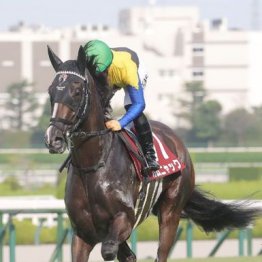 【東京本紙・外山の秋華賞】