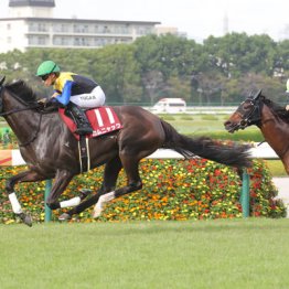 【秋華賞】カムニャック小細工なしで２冠達成