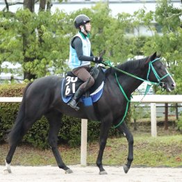 【京都５Ｒ・２歳新馬】ヴァロンブローサ　牡・池添学厩舎