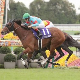 【秋華賞】エンブロイダリーが牝馬２冠を達成