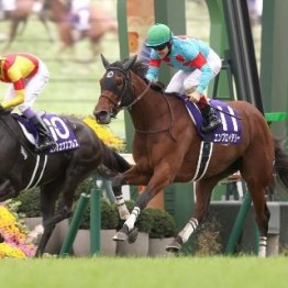 うまかった武豊の上を行ったルメール