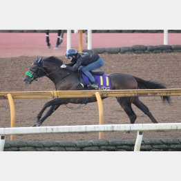 先週は松山騎乗でしっかり負荷をかけた
