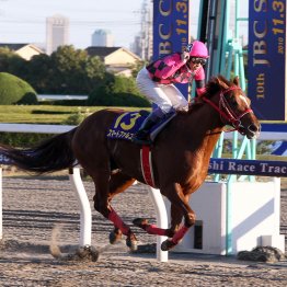 11月３日はＪＢＣデー　船橋競馬場にダートの猛者が集結