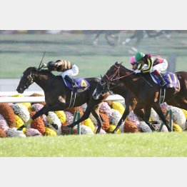 15年はキタサンブラックが連勝でGⅠ制覇
