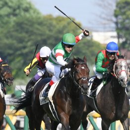 【菊花賞】自身は菊、春の盾に不出走だが　種牡馬レイデオロはステイヤー傾向