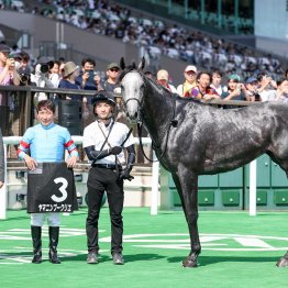 【菊花賞】ヤマニンブークリエ大駆けあるぞ