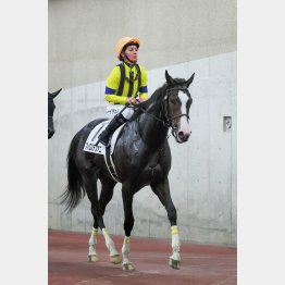 瞬発力に優れた配合