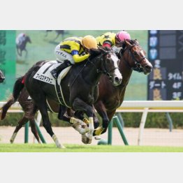 デビュー戦は上がり32秒6!