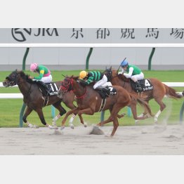 前走の蹴上特別が僅差の②着