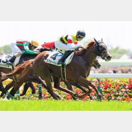 東京千四で初勝利