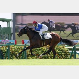 ２戦目できっちり勝ち上がった