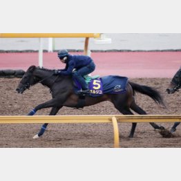 最終追いも文句なし