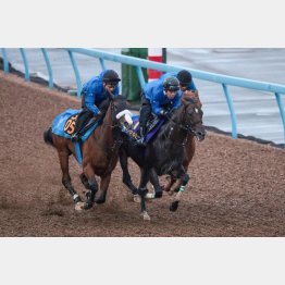 超良血馬が覚醒する時がきた