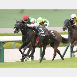 1勝クラスを勝ったばかりでも侮れない