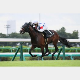 前走は衝撃的な勝ち方