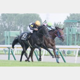 強敵相手に首差②着惜敗