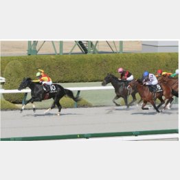 3勝クラス勝ちもダート千四だった