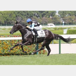 新馬戦はモノが違う勝ちっぷり