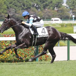 【大阪本紙・弘中の日曜京都９Ｒ】