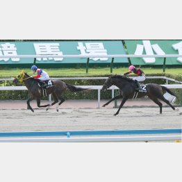 前回は快勝