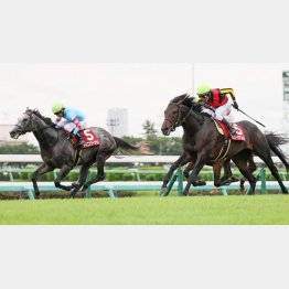 セントライト記念は皐月賞馬に肉薄