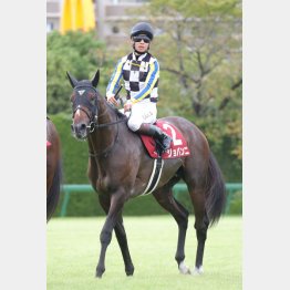 神戸新聞杯③着から金星を