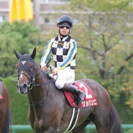 【菊花賞】ジョバンニ　京都外回りで一発