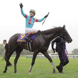 ５年で菊花賞３勝　返す返すも残念なドゥラメンテの早逝