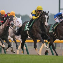 ５年で菊花賞３勝　返す返すも残念なドゥラメンテの早逝