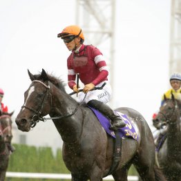 ５年で菊花賞３勝　返す返すも残念なドゥラメンテの早逝