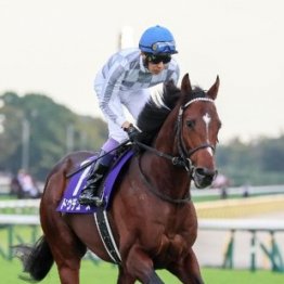 【天皇賞・秋】各世代のＧⅠ馬によるバトルロイヤル