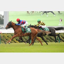 23年は15番人気のカルチャーデイが好位から抜け出し