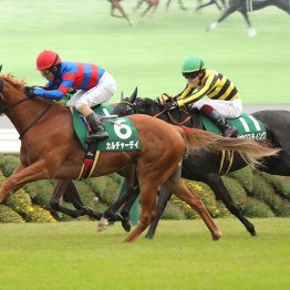 【ファンタジーS】新馬勝ち組を要チェック