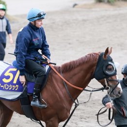 【天皇賞・秋】調教マル得チェック②