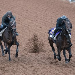 【天皇賞・秋】調教マル得チェック②