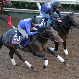 【天皇賞・秋】調教マル得チェック①