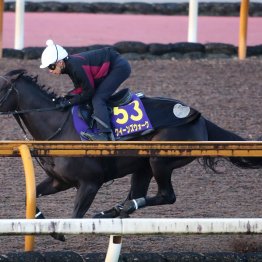 【天皇賞・秋】調教マル得チェック①