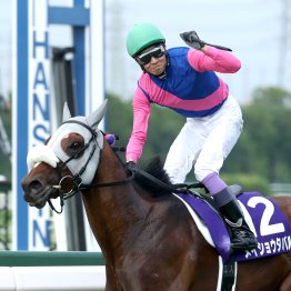 【天皇賞・秋】メイショウタバルで秋の盾８勝目を狙う武豊に聞く