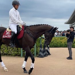 〈116〉馬術のカメラマン・カジリョウスケさん（５）