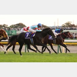 22年は7番人気パンサラッサが②着に逃げ粘った