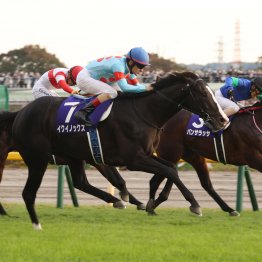 【天皇賞・秋】データ作戦　人気サイドからヒモ荒れが狙い目