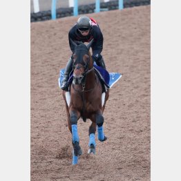 今週はウッドで1F11秒5