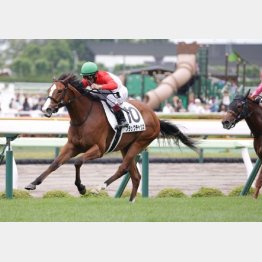 デビュー戦はレコード勝ち