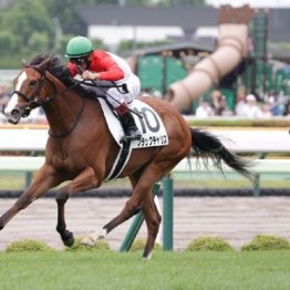 【市川の土曜競馬コラム・ファンタジーＳ】